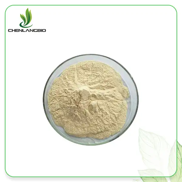 Ginseng Root Extract Powder